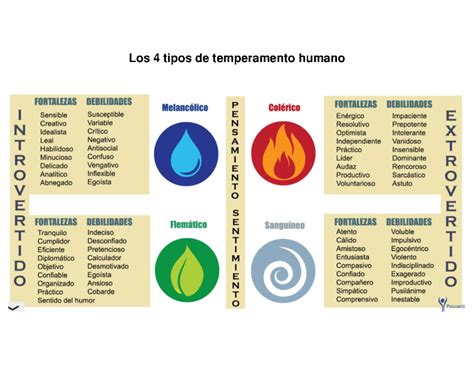 Temperamento Humano - Infografía del temperamento - Los 4 tipos de temperamento humano ...