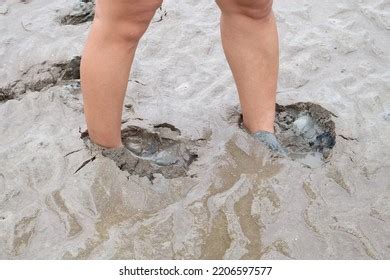 Girl Quicksand Stock Photos and Pictures - 68 Images | Shutterstock