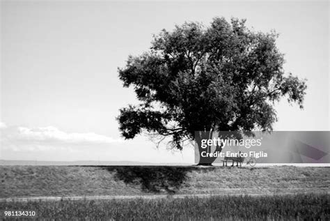 2,229 Ombra Stock Photos, High-Res Pictures, and Images - Getty Images