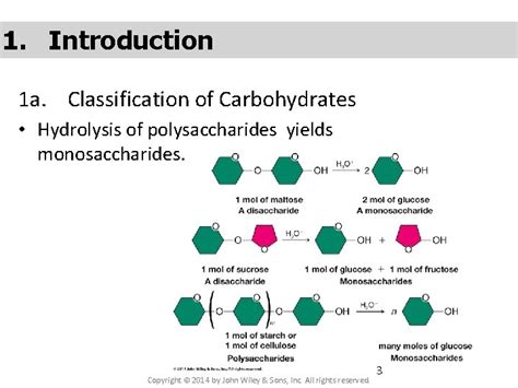 Carbohydrates Created By Prof Gary F Porter Ph