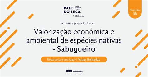 Convite Forma O Maio Futuro Projeto Das Mil Rvores