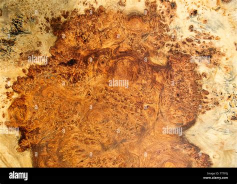 Afzelia Wood Burl Exotic For Picture Prints Interior Decoration Car