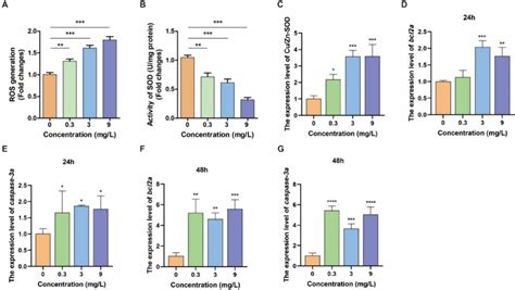 Nanoplastic Exposure Mediates Neurodevelopmental Toxicity By Activating