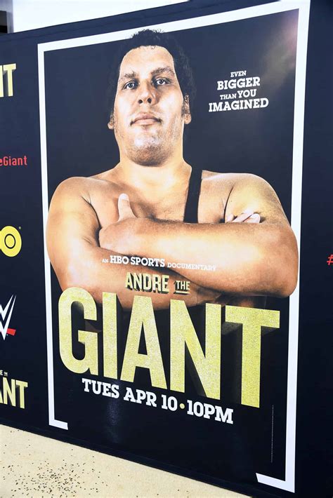 How Tall Was Andre The Giant? (His Real Height)