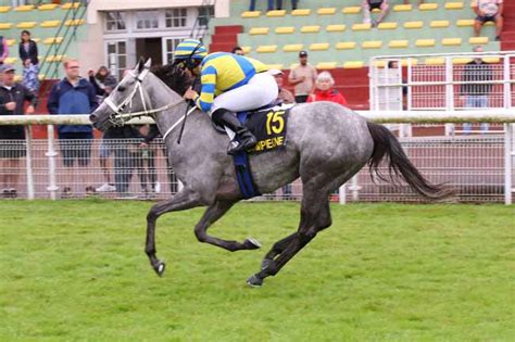 La photo de l arrivée du PRIX D HARAMONT course PMU du Vendredi 12