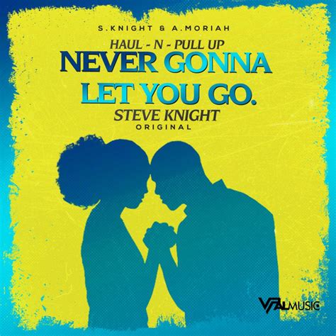 Never Gonna Let You Go Single By Steve Knight Spotify