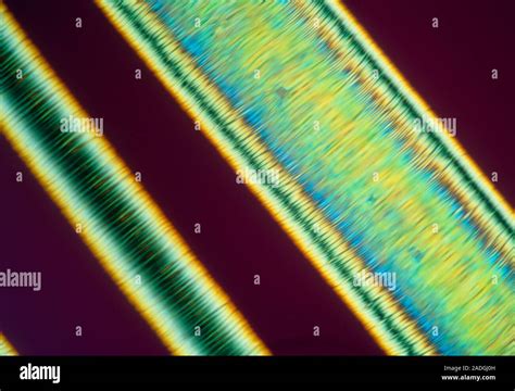 Liquid Crystal Fibres Polarised Light Micrograph Plm Of An Extruded