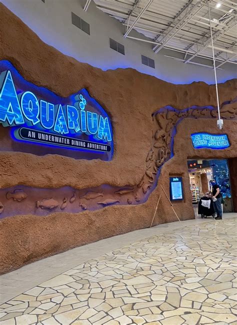 Visit One Absolutely Adorable Aquarium Restaurant In Nashville, TN