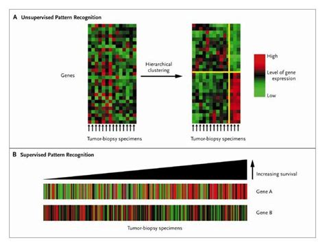 Molecular Diagnosis Of The Hematologic Cancers New England Journal Of