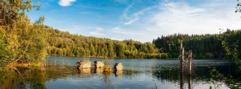 Thuringia Lake Forest Thuringian - Free photo on Pixabay - Pixabay