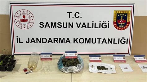 Samsun Da Jandarmadan Uyu Turucu Operasyonu