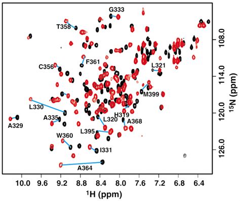 Top Techniques: NMR | Tufts Boston Insight