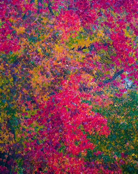 fine art examples  behance