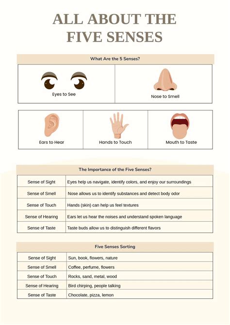 Five Senses Anchor Chart In Illustrator Pdf Download