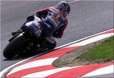 Mototribu Motogp Yamaha