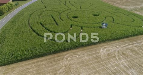 Elephant corn maze aerial drone - Stock Footage | by gdmpro | Aerial drone, Aerial, Aerial video