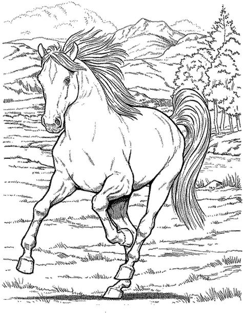 Belle Coloriage De Cheval sovaje 30000 collections de pages à