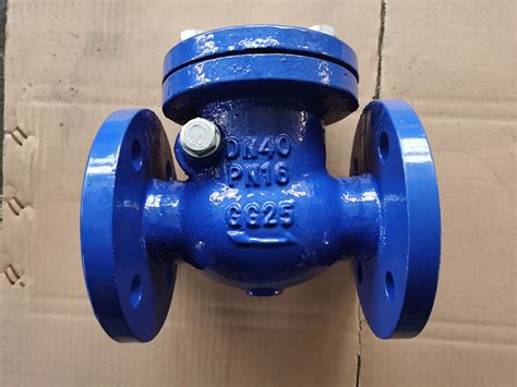 DIN3202f6 H44X T Cast Iron Ductile Iron Swing Check Valve With Flange