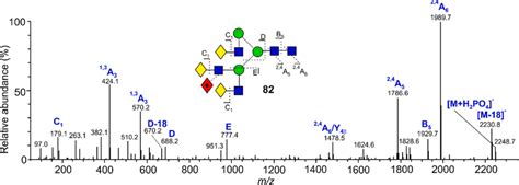 Negative Ion Collisioninduced Dissociation Cid Spectrum Of The