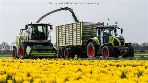 CLAAS Loonbedrijf Pleizier En Timmer Uit Nijkerk In De Eerste Snede