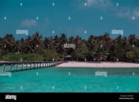 Sandy beach in the Maldives Stock Photo - Alamy