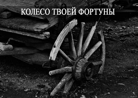 Фортуна | Пикабу