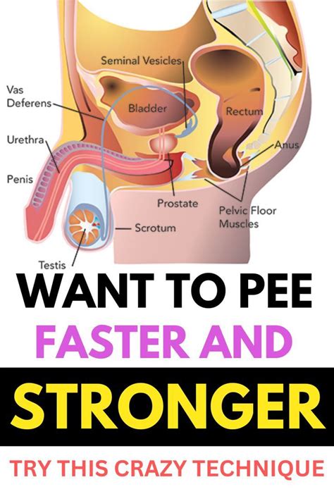 A Visual Guide To Prostate Cancer Artofit