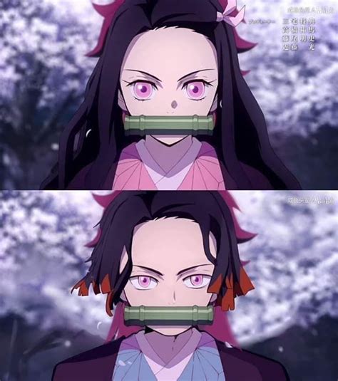 Genderbend Nezuko X Tanjiro Images And Photos Finder