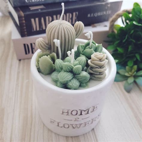 Kyartmoldes On Instagram Bora Montar Um Vaso Lindo De Cactus Como