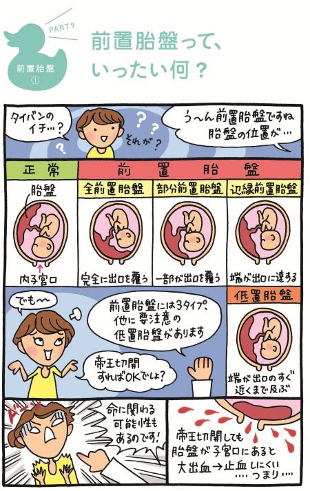 前置胎盤について｜東京・世田谷での出産・分娩なら国立成育医療研究センター 産科