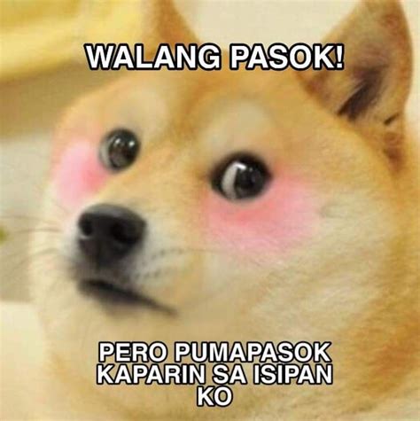 Funny Animal Memes Tagalog