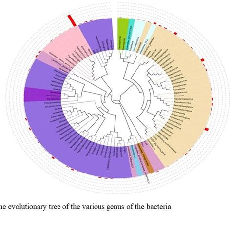 A Shows The Top Ten Species Relative Abundance In Phylum And Gure B