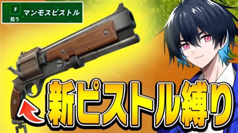 新武器「マンモスピストル縛り」で判明した「新ピストルの性能」のプロの評価は【フォートナイト Fortnite】 フォートナイト動画まとめ