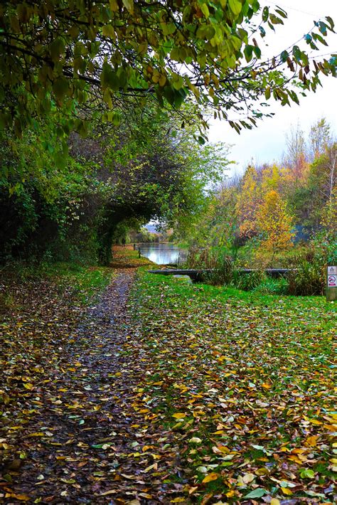 Scenes Along Sheffield And Tinsley Canal Martin Elliss Flickr