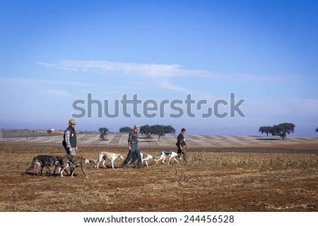 Hunter Dog Stock Photos, Images, & Pictures | Shutterstock