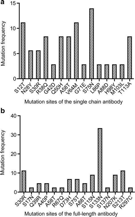 The Distribution Of Mutants Derived From Affinity Maturation In Scfv