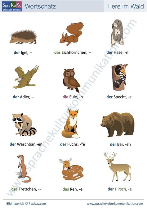 Wortschatz Tiere Im Wald Learn German German Language German