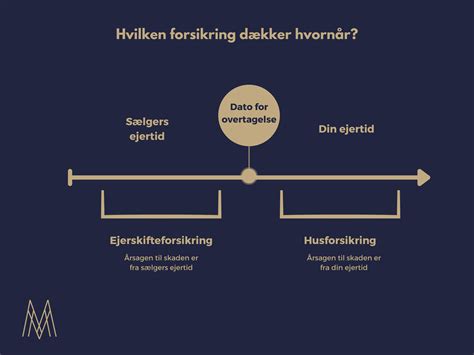 Hvad Er En Ejerskifteforsikring Og Skal Jeg Tegne En Mieritz