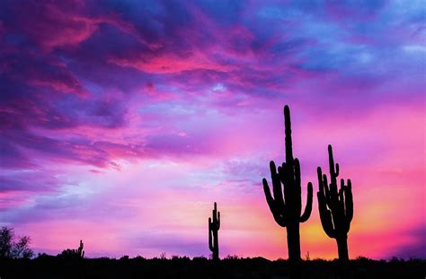 Monsoon Desert Sunset Photograph by Stacy LeClair - Pixels