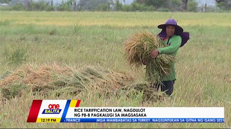 Mga Magsasaka Lugi Na Dahil Sa Rice Tarrification Law One Balita