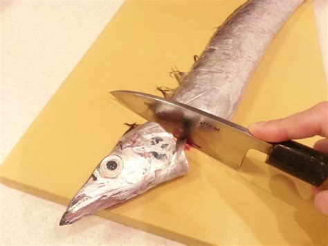 簡単！「太刀魚の煮付け」作り方（下ごしらえ・捌き方・レシピ） よちよちエクスプレス