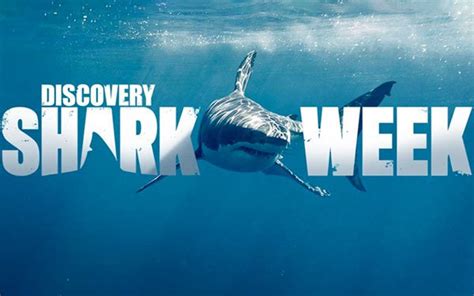 Shark Week 2024 Schedule Discovery Channel - Hope Ramona