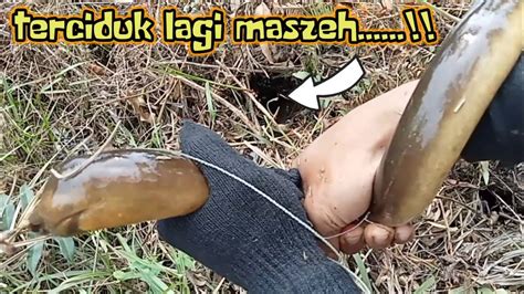 Tak Saya Sangka Satu Lubang 2 Belut Isi Nya Babon Semua Tarikanya Ndak