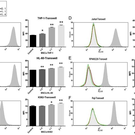 HUC MSCs Affect The Proliferation Of Tumor Cells In Transwells