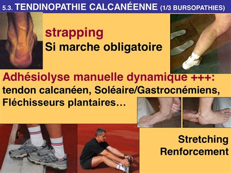 Ost Opathie Et Tendinopathie Calcan Enne Adh Siolyse Manuelle Dynamique