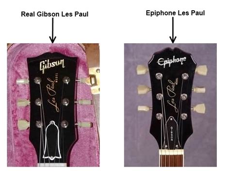 Difference Between Epiphone Les Paul Internationalchen