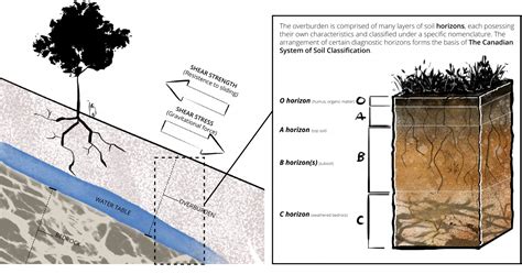 What Causes Landslides? – Landslide Mitigation