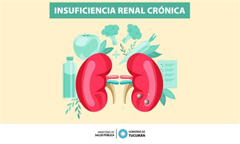 Insuficiencia Renal Crónica Una Enfermedad Silenciosa En La Que La