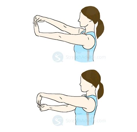 Artists 10 Stretches To Prevent Wrist Injury And Shoulders Stretch