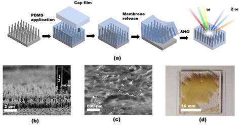 Nanomaterials Free Full Text Laser Activated Second Harmonic Generation In Flexible Membrane